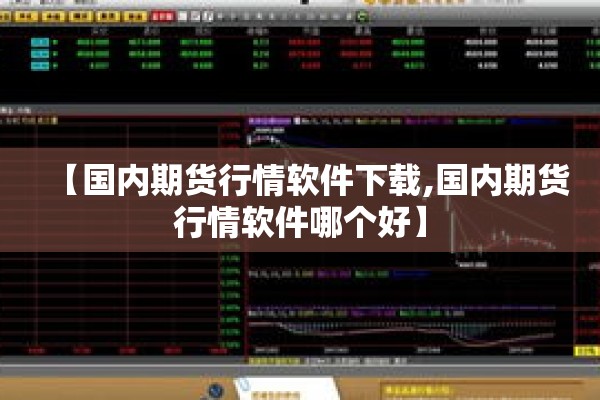 【国内期货行情软件下载,国内期货行情软件哪个好】