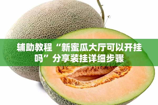 辅助教程“新蜜瓜大厅可以开挂吗”分享装挂详细步骤