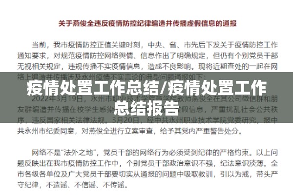 疫情处置工作总结/疫情处置工作总结报告
