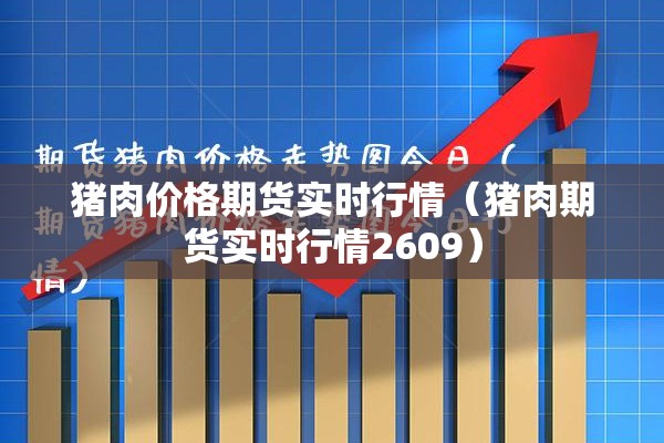 猪肉价格期货实时行情（猪肉期货实时行情2609）