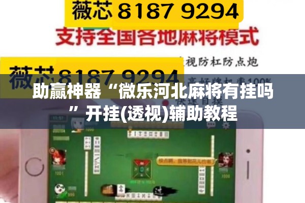 助赢神器“微乐河北麻将有挂吗”开挂(透视)辅助教程