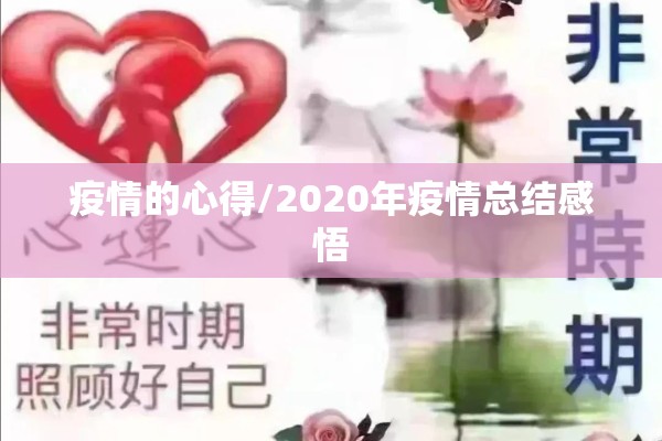 疫情的心得/2020年疫情总结感悟
