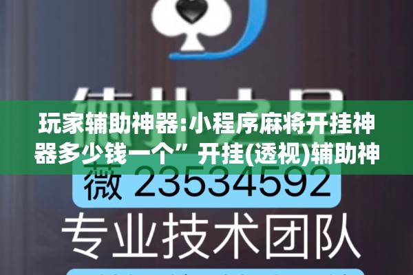 玩家辅助神器:小程序麻将开挂神器多少钱一个	”开挂(透视)辅助神器