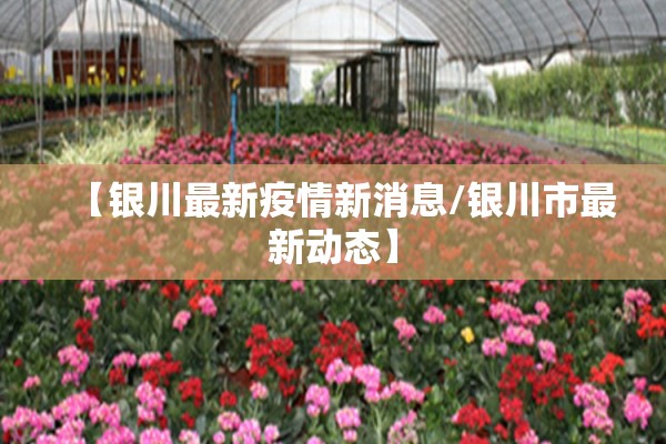 【银川最新疫情新消息/银川市最新动态】