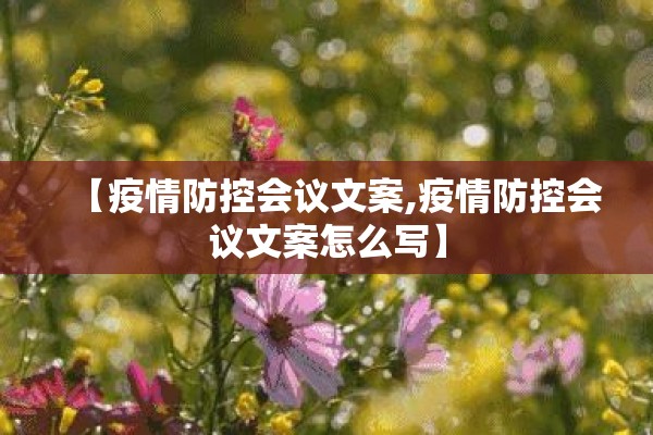 【疫情防控会议文案,疫情防控会议文案怎么写】