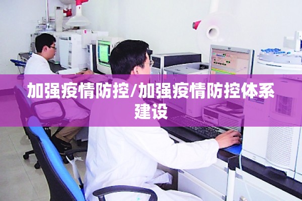 加强疫情防控/加强疫情防控体系建设