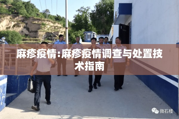 麻疹疫情:麻疹疫情调查与处置技术指南