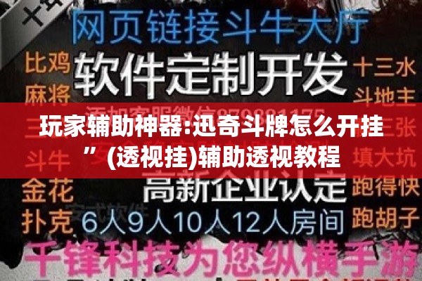 玩家辅助神器:迅奇斗牌怎么开挂”(透视挂)辅助透视教程