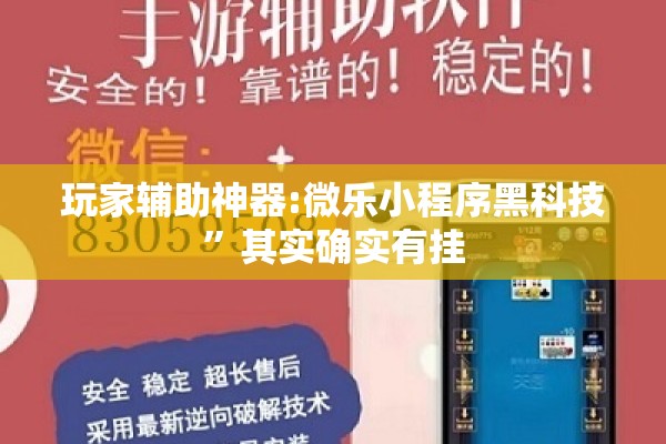 玩家辅助神器:微乐小程序黑科技”其实确实有挂