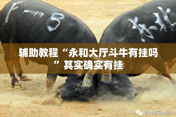 辅助教程“永和大厅斗牛有挂吗”其实确实有挂