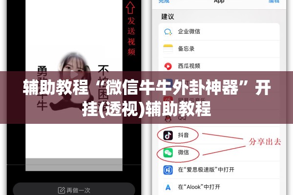 辅助教程“微信牛牛外卦神器”开挂(透视)辅助教程