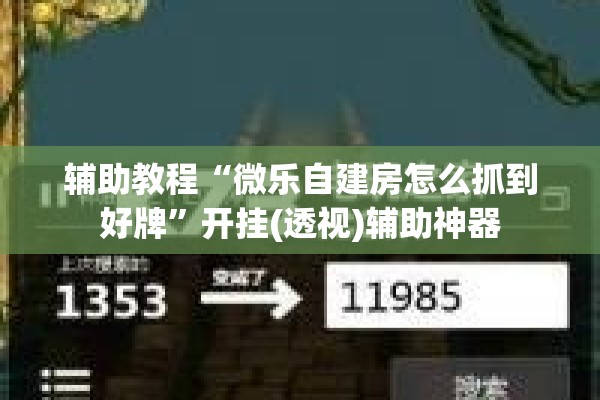 辅助教程“微乐自建房怎么抓到好牌”开挂(透视)辅助神器