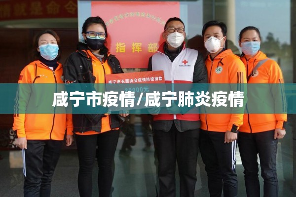 咸宁市疫情/咸宁肺炎疫情