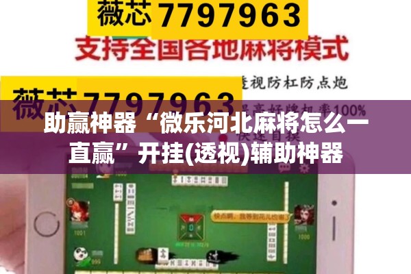 助赢神器“微乐河北麻将怎么一直赢”开挂(透视)辅助神器