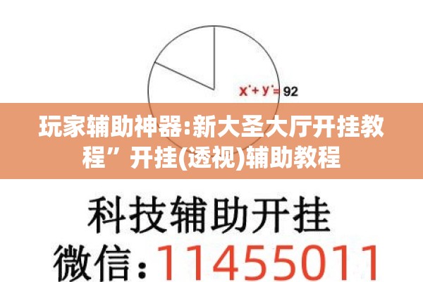 玩家辅助神器:新大圣大厅开挂教程	”开挂(透视)辅助教程