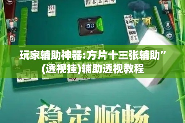 玩家辅助神器:方片十三张辅助	”(透视挂)辅助透视教程