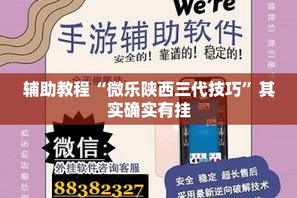 辅助教程“微乐陕西三代技巧”其实确实有挂