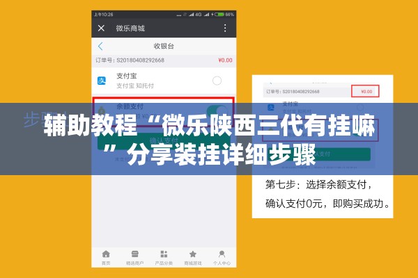 辅助教程“微乐陕西三代有挂嘛”分享装挂详细步骤