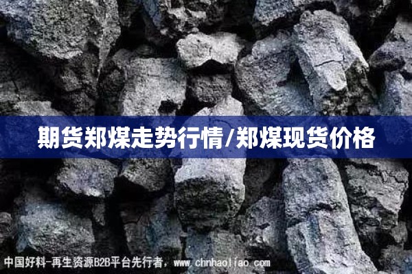 期货郑煤走势行情/郑煤现货价格
