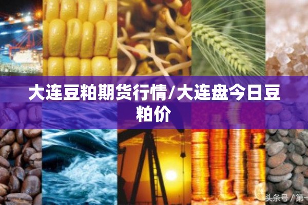 大连豆粕期货行情/大连盘今日豆粕价