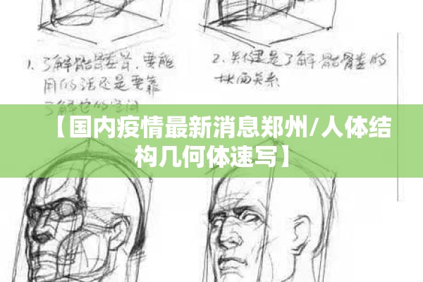 【国内疫情最新消息郑州/人体结构几何体速写】