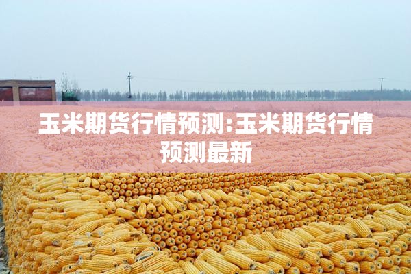 玉米期货行情预测:玉米期货行情预测最新