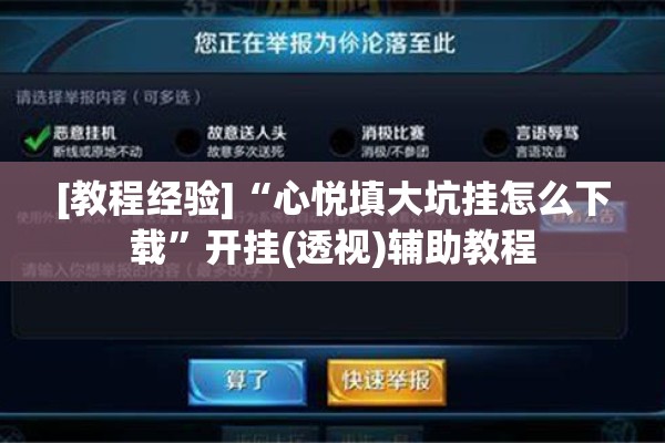 [教程经验]“心悦填大坑挂怎么下载”开挂(透视)辅助教程