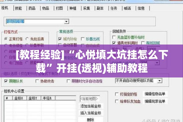 [教程经验]“心悦填大坑挂怎么下载”开挂(透视)辅助教程