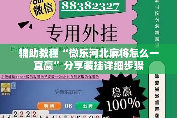 辅助教程“微乐河北麻将怎么一直赢	”分享装挂详细步骤