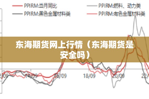 东海期货网上行情（东海期货是安全吗）