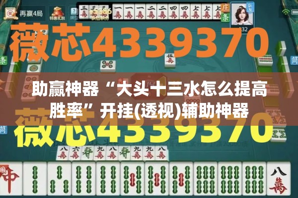 助赢神器“大头十三水怎么提高胜率”开挂(透视)辅助神器