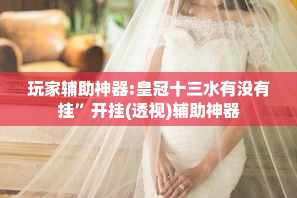 玩家辅助神器:皇冠十三水有没有挂”开挂(透视)辅助神器