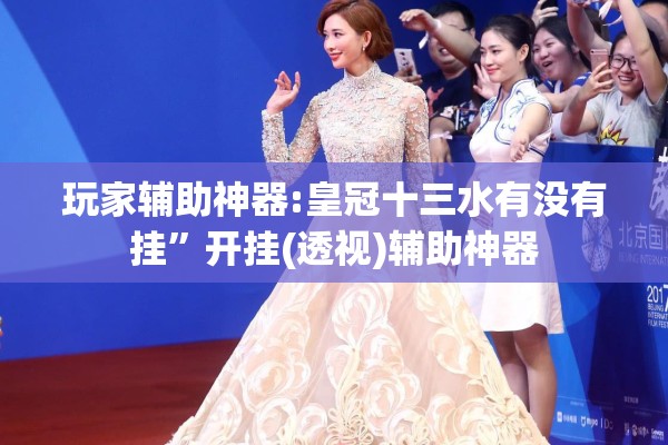 玩家辅助神器:皇冠十三水有没有挂”开挂(透视)辅助神器