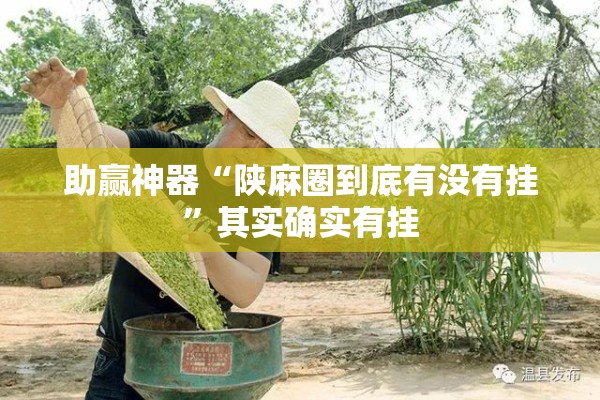 助赢神器“陕麻圈到底有没有挂”其实确实有挂