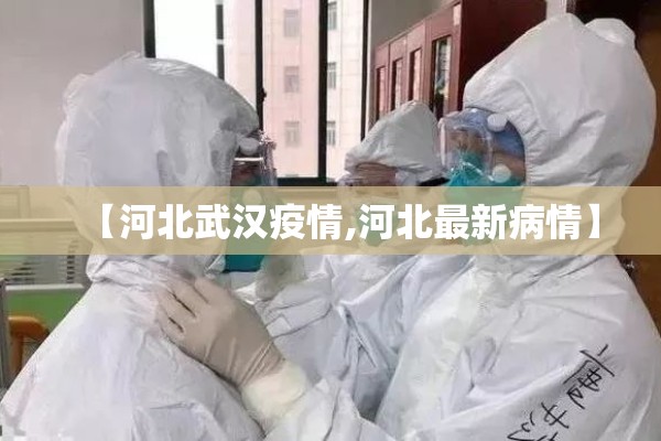 【河北武汉疫情,河北最新病情】 【河北武汉疫情,河北最新病情】