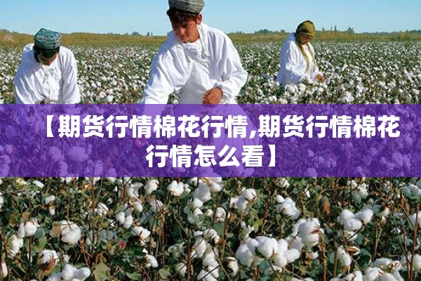 【期货行情棉花行情,期货行情棉花行情怎么看】 【期货行情棉花行情,期货行情棉花行情怎么看】