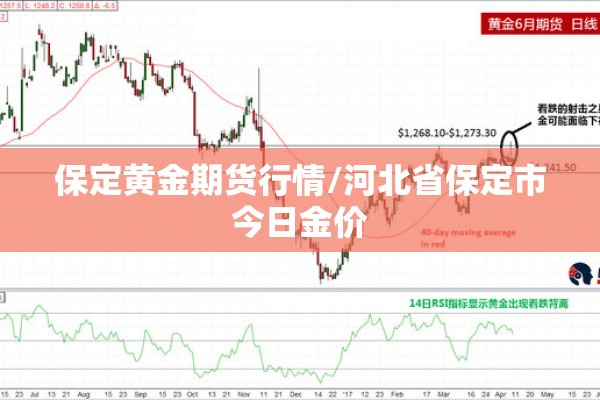 保定黄金期货行情/河北省保定市今日金价