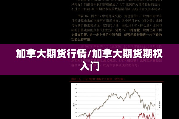 加拿大期货行情/加拿大期货期权入门