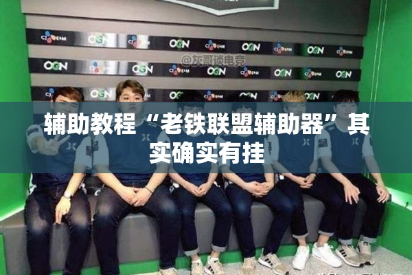 辅助教程“老铁联盟辅助器”其实确实有挂