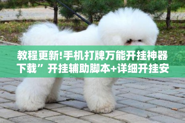 教程更新!手机打牌万能开挂神器下载”开挂辅助脚本+详细开挂安装教程