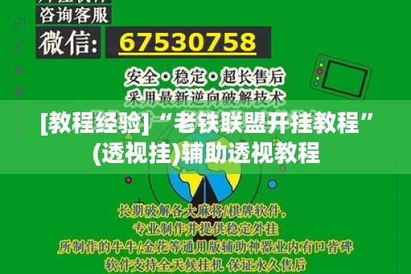 [教程经验]“老铁联盟开挂教程	”(透视挂)辅助透视教程