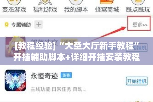 [教程经验]“大圣大厅新手教程”开挂辅助脚本+详细开挂安装教程