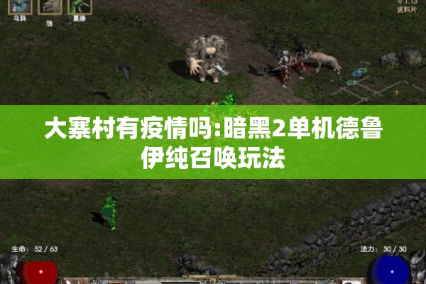 大寨村有疫情吗:暗黑2单机德鲁伊纯召唤玩法