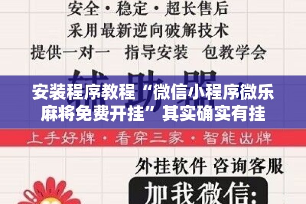 安装程序教程“微信小程序微乐麻将免费开挂”其实确实有挂