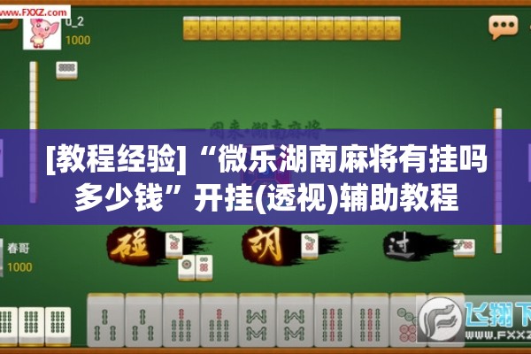 [教程经验]“微乐湖南麻将有挂吗多少钱”开挂(透视)辅助教程
