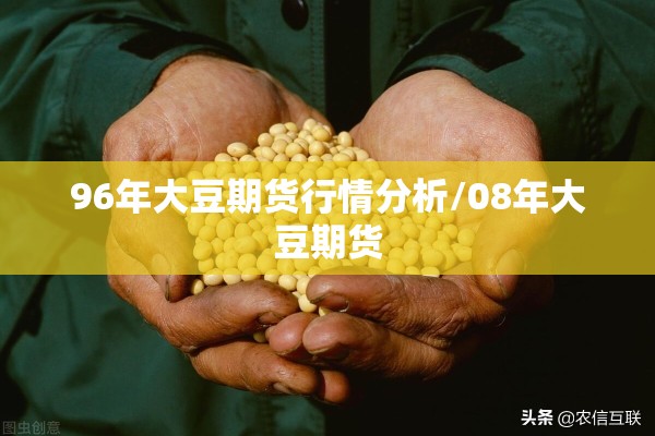 96年大豆期货行情分析/08年大豆期货