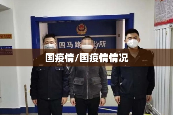 国疫情/国疫情情况
