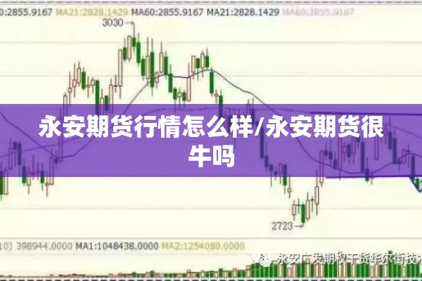 永安期货行情怎么样/永安期货很牛吗 永安期货行情怎么样/永安期货很牛吗
