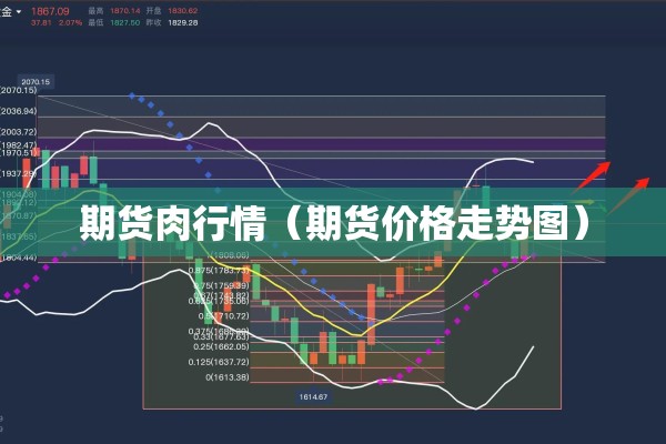 期货肉行情(期货价格走势图) 期货肉行情(期货价格走势图)