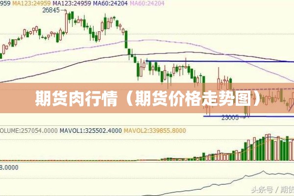 期货肉行情(期货价格走势图) 期货肉行情(期货价格走势图)
